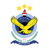 القوة الجوية